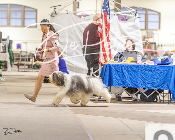 20230401-DSC07946