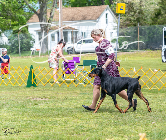 20230513-DSC08141