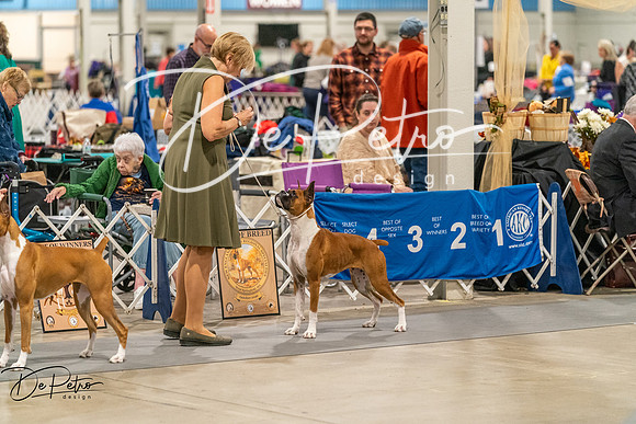 20261023-DSC04955