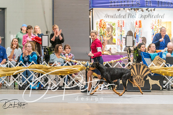 20260927-DSC05711