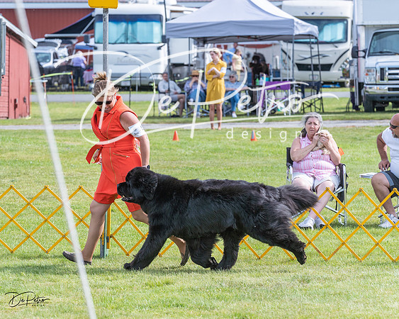 20230513-DSC00608