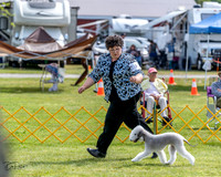 20230513-DSC00006