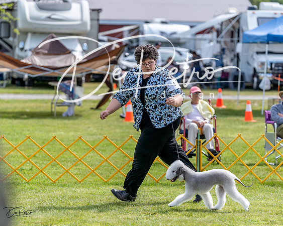 20230513-DSC00006