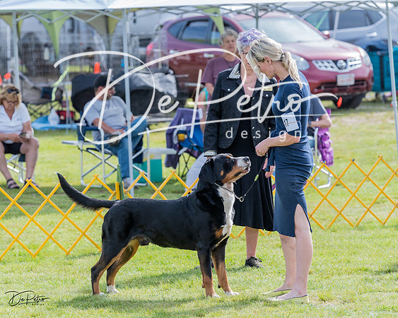 20230513-DSC00800