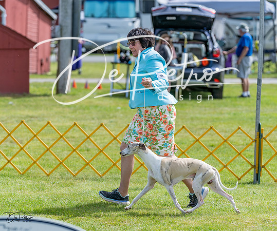 20230513-DSC09596