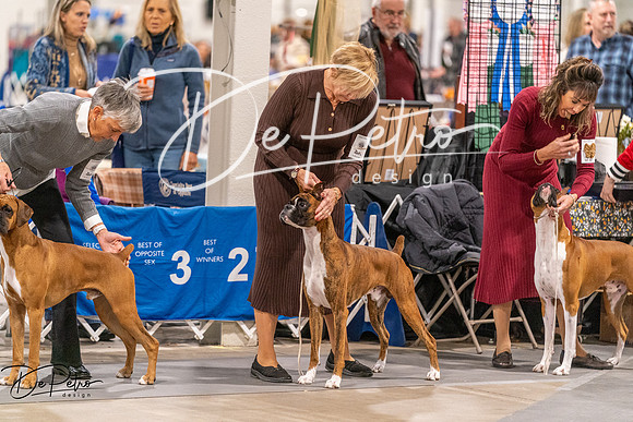 20261024-DSC08408