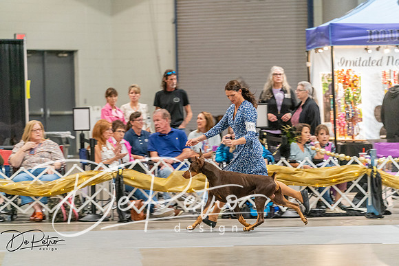 20260927-DSC05624