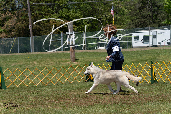 20230514-DSC04644