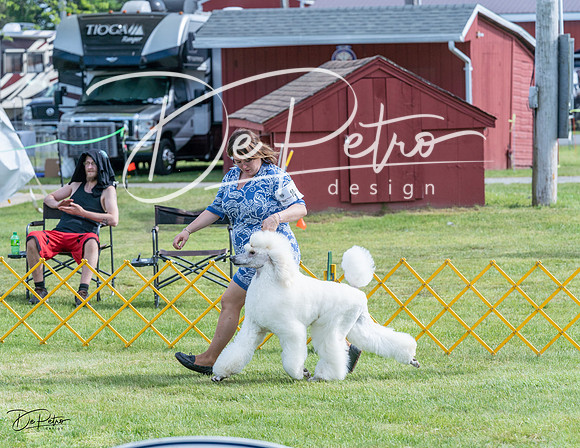 20230513-DSC00198