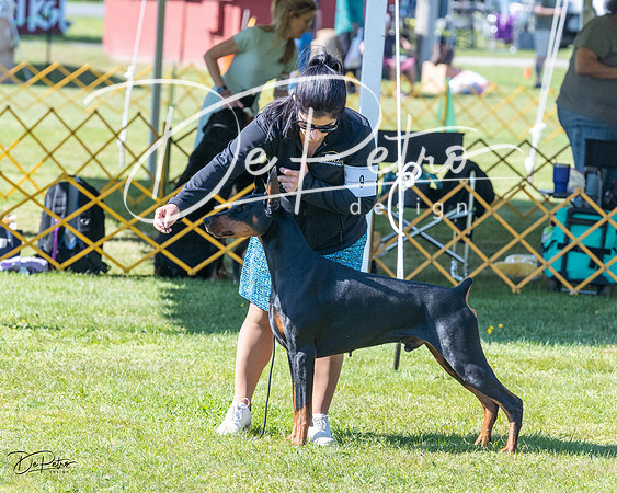 20230514-DSC02939