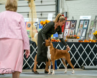20261022-DSC02750