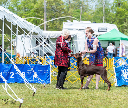 20230513-DSC08162