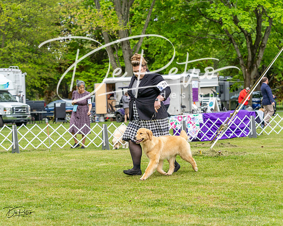 20230427-DSC03574