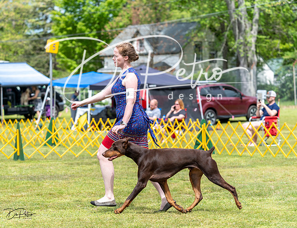 20230513-DSC08177