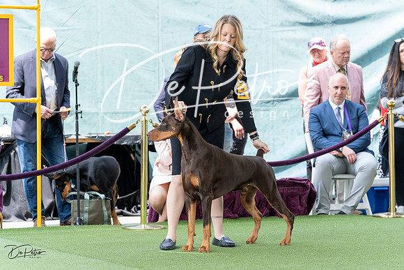 20230509-DSC00996