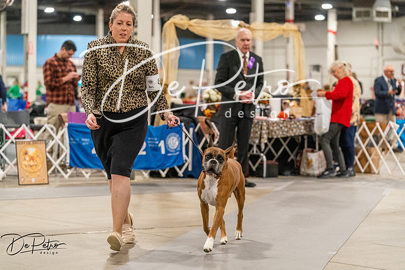 20261023-DSC05404