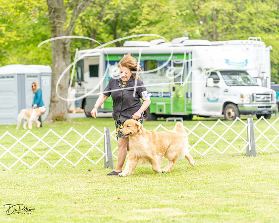 20230427-DSC03888
