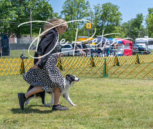 20230514-DSC05067