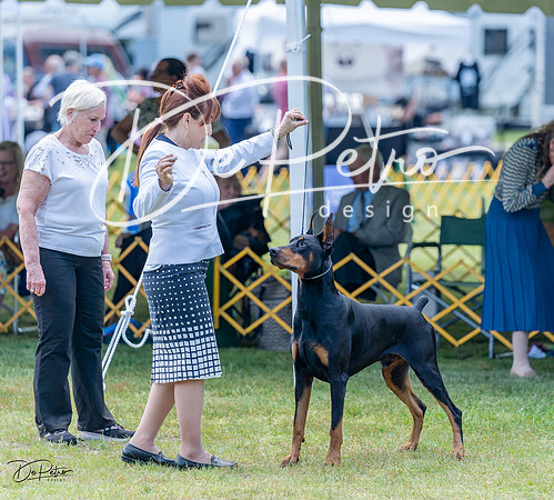 20230513-DSC08848