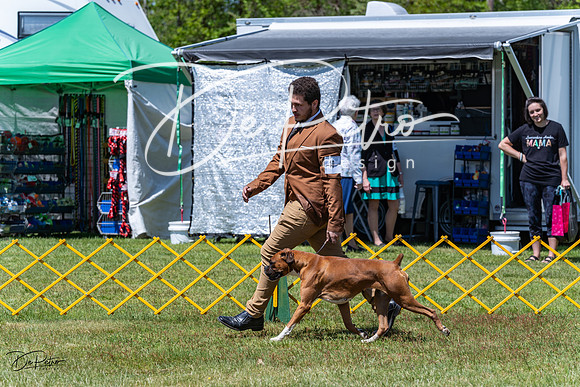 20230514-DSC04144