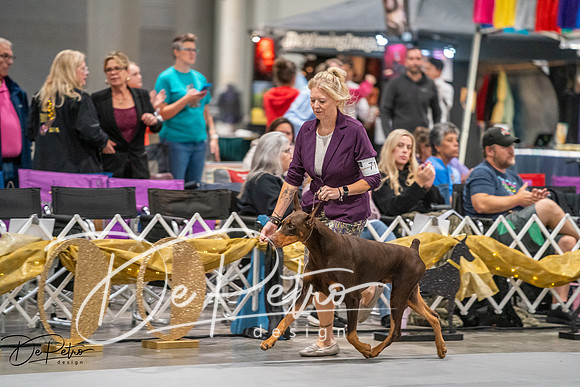 20260926-DSC04311