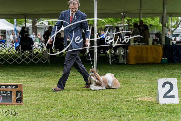 20230427-DSC04224