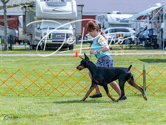 20230512-DSC04912
