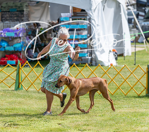 20230513-DSC09824