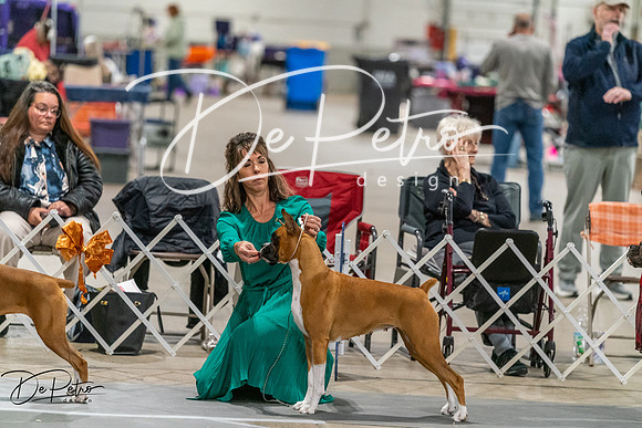 20261023-DSC05781