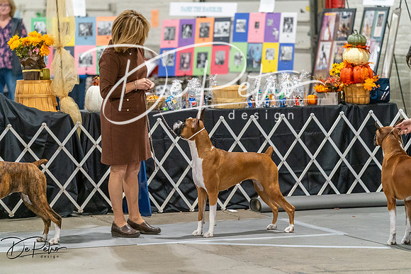 20261023-DSC05521