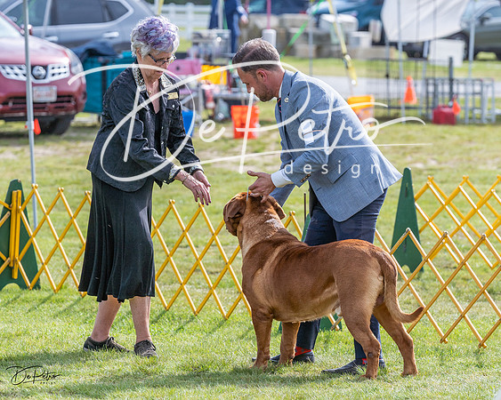 20230513-DSC01127