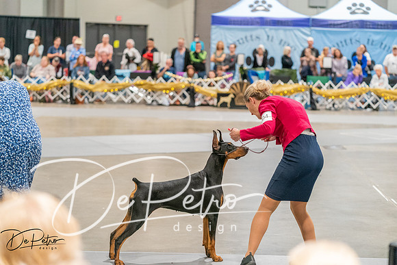 20260927-DSC05760