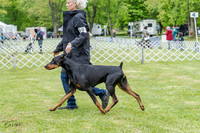 20230428-DSC07641