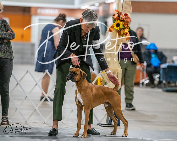 20261022-DSC02709