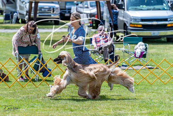 20230513-DSC09128