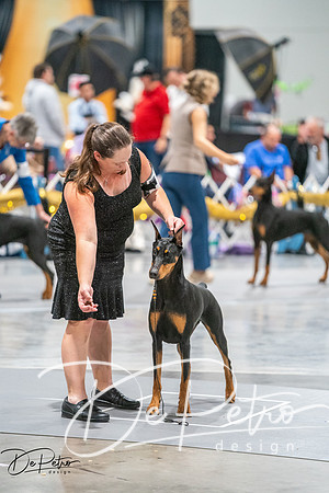 20260926-DSC04175