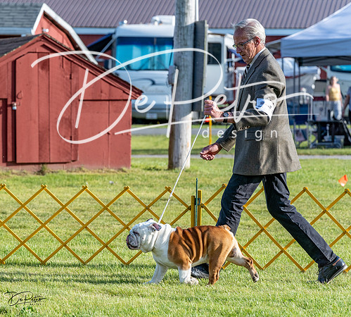 20230513-DSC02544