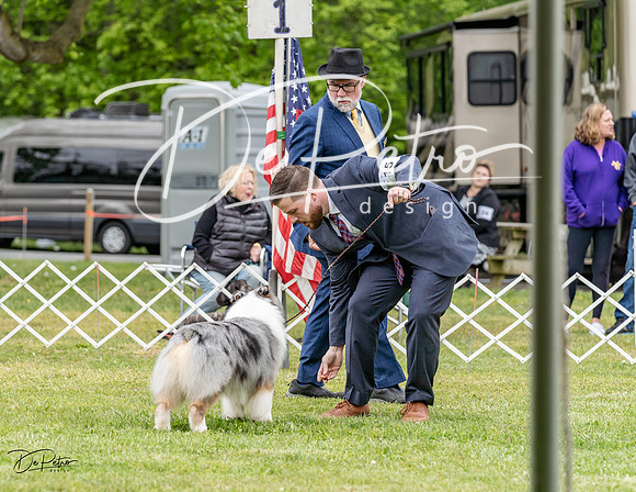 20230427-DSC07366