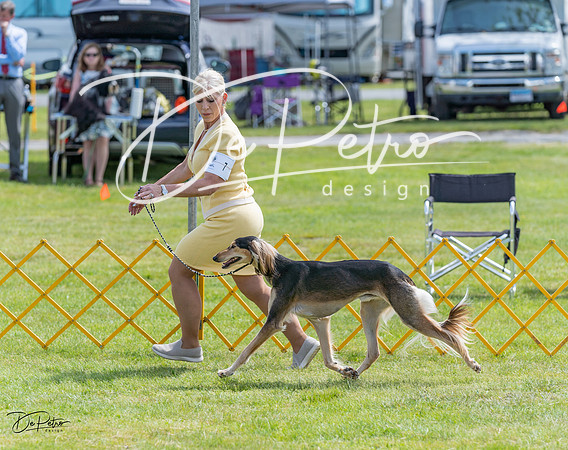 20230513-DSC09560