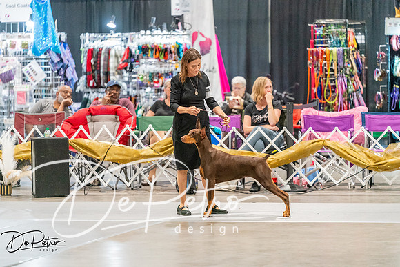 20261001-DSC07375