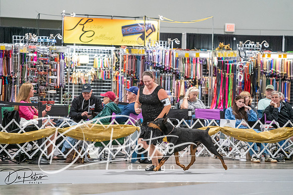 20260926-DSC04532