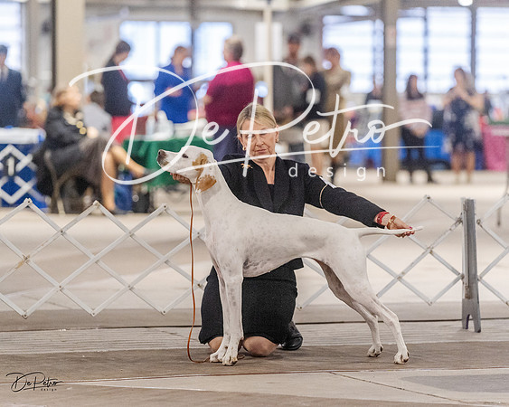 20230331-DSC05346