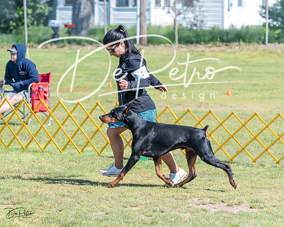 20230514-DSC03128
