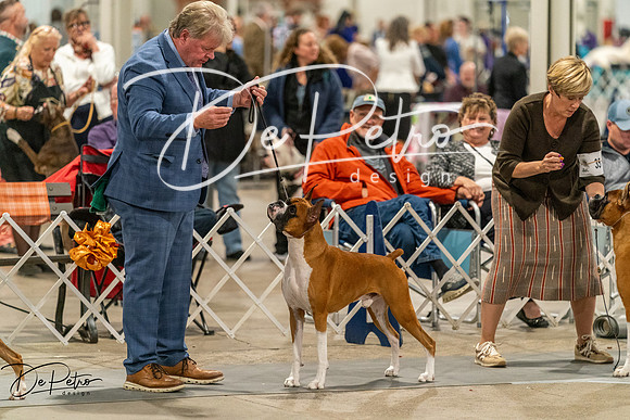 20261023-DSC05541