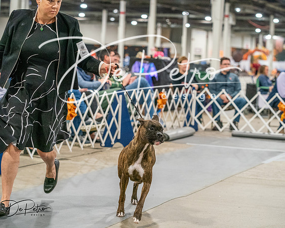 20261022-DSC01837