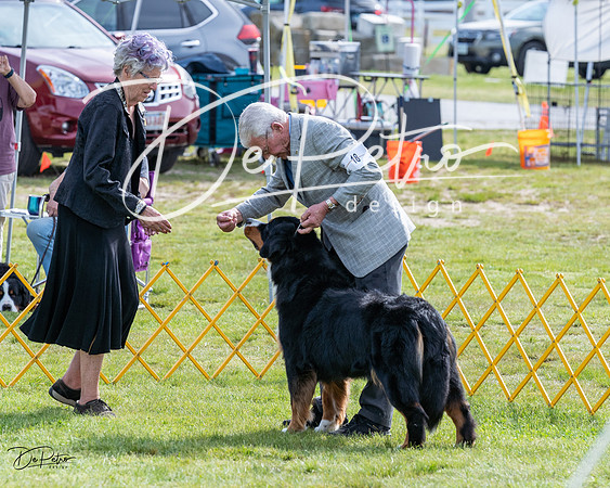20230513-DSC00910