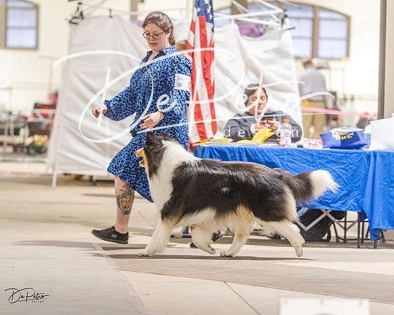 20230401-DSC07845