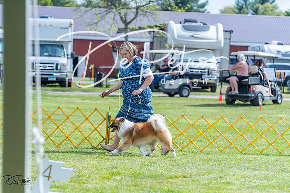 20230512-DSC05455