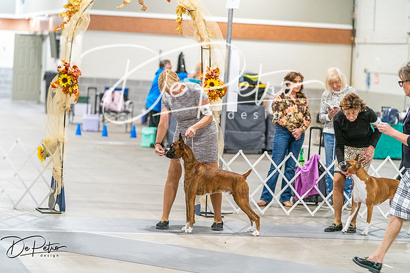 20261022-DSC00635