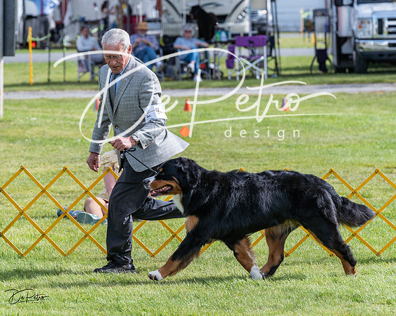 20230513-DSC00939